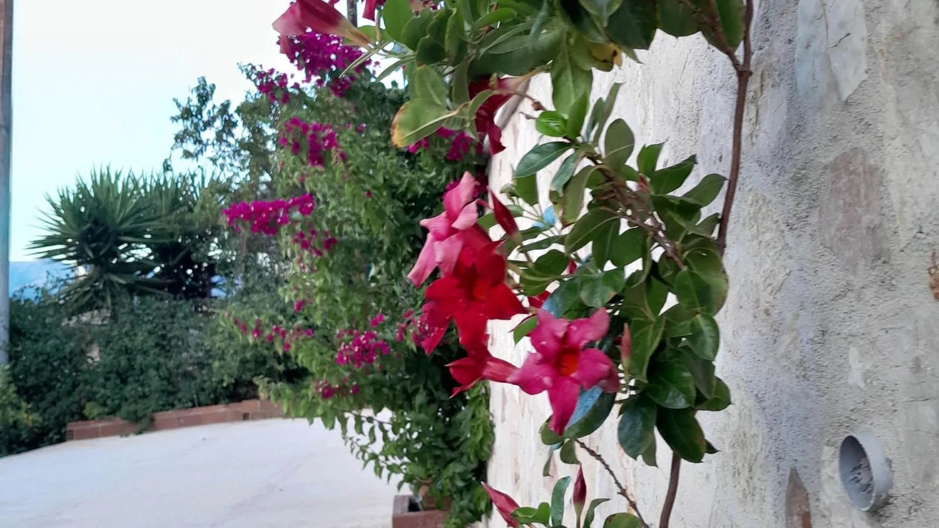 Denni'S Home Sarandë